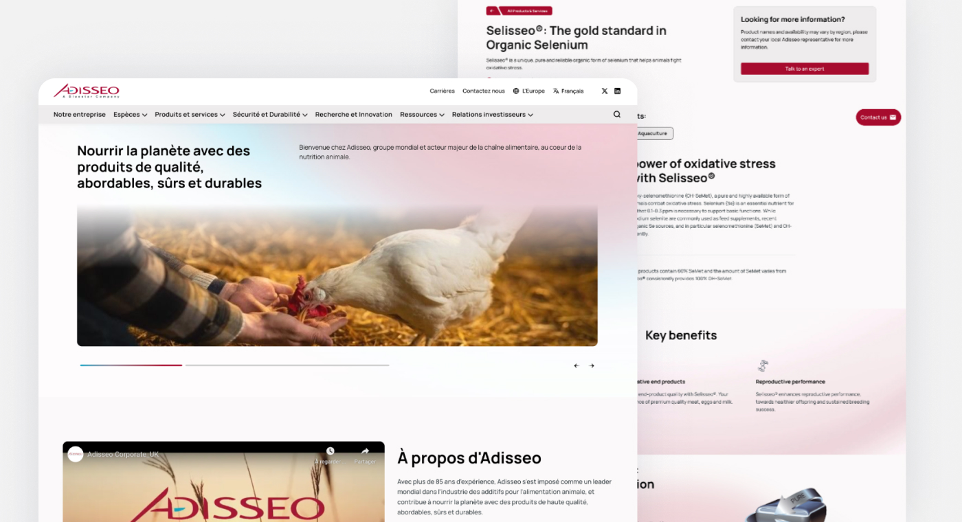 Adisseo - after